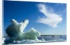 Sea Ice, Hudson Bay, Canada by Anonymous