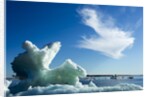 Sea Ice, Hudson Bay, Canada by Anonymous