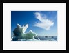 Sea Ice, Hudson Bay, Canada by Anonymous