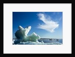 Sea Ice, Hudson Bay, Canada by Anonymous