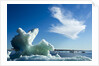 Sea Ice, Hudson Bay, Canada by Anonymous