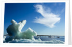 Sea Ice, Hudson Bay, Canada by Anonymous