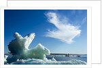 Sea Ice, Hudson Bay, Canada by Anonymous