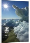 Sea Ice, Hudson Bay, Canada by Anonymous