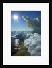 Sea Ice, Hudson Bay, Canada by Anonymous