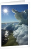 Sea Ice, Hudson Bay, Canada by Anonymous