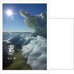 Sea Ice, Hudson Bay, Canada by Anonymous