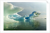 Melting Icebergs, Hudson Bay, Canada by Anonymous
