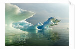 Melting Icebergs, Hudson Bay, Canada by Anonymous