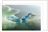 Melting Icebergs, Hudson Bay, Canada by Anonymous