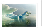 Melting Icebergs, Hudson Bay, Canada by Anonymous