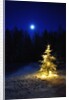 Small Christmas tree against silhouette trees and full moon by Anonymous