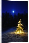 Small Christmas tree against silhouette trees and full moon by Anonymous