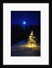 Small Christmas tree against silhouette trees and full moon by Anonymous