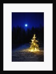 Small Christmas tree against silhouette trees and full moon by Anonymous
