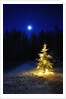 Small Christmas tree against silhouette trees and full moon by Anonymous