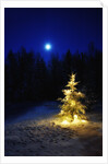 Small Christmas tree against silhouette trees and full moon by Anonymous