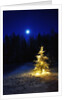 Small Christmas tree against silhouette trees and full moon by Anonymous