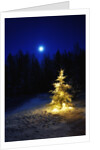 Small Christmas tree against silhouette trees and full moon by Anonymous