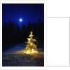Small Christmas tree against silhouette trees and full moon by Anonymous