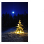 Small Christmas tree against silhouette trees and full moon by Anonymous