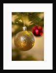 Close-up of a golden hanging Christmas bauble on blurred tree by Anonymous