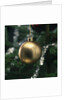 Close-up of a golden hanging Christmas bauble on blurred tree by Anonymous
