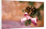 Close-up of Christmas decorations against blurred background by Anonymous
