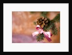 Close-up of Christmas decorations against blurred background by Anonymous