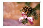 Close-up of Christmas decorations against blurred background by Anonymous