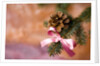 Close-up of Christmas decorations against blurred background by Anonymous