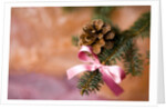 Close-up of Christmas decorations against blurred background by Anonymous