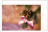 Close-up of Christmas decorations against blurred background by Anonymous