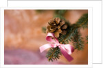 Close-up of Christmas decorations against blurred background by Anonymous