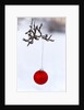 Close-up of red bauble hanging on branch against blurred background by Anonymous