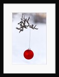 Close-up of red bauble hanging on branch against blurred background by Anonymous