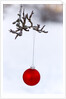 Close-up of red bauble hanging on branch against blurred background by Anonymous
