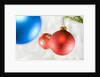 Close-up of hanging red and blue Christmas baubles by Anonymous