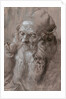 Head of an Old Man by Albrecht Dürer