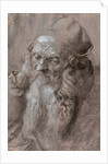 Head of an Old Man by Albrecht Dürer
