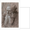 Head of an Old Man by Albrecht Dürer