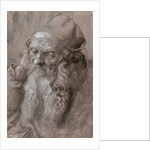 Head of an Old Man by Albrecht Dürer