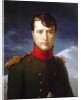 Napoléon Bonaparte Premier Consul by François Gérard