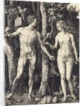 The Fall of Man (Adam and Eve) by Albrecht Dürer