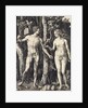The Fall of Man (Adam and Eve) by Albrecht Dürer
