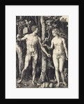 The Fall of Man (Adam and Eve) by Albrecht Dürer