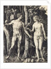 The Fall of Man (Adam and Eve) by Albrecht Dürer