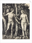 The Fall of Man (Adam and Eve) by Albrecht Dürer