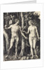 The Fall of Man (Adam and Eve) by Albrecht Dürer