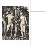 The Fall of Man (Adam and Eve) by Albrecht Dürer